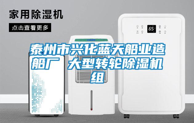 泰州市興化藍天船業(yè)造船廠 大型轉(zhuǎn)輪除濕機組
