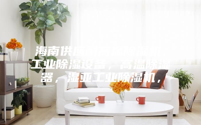 海南供應(yīng)耐高溫除濕機(jī)，工業(yè)除濕設(shè)備，高溫除濕器，濕亞工業(yè)除濕機(jī)，