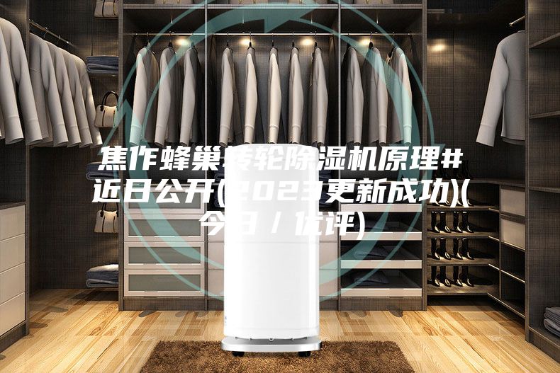 焦作蜂巢轉(zhuǎn)輪除濕機(jī)原理#近日公開(kāi)(2023更新成功)(今日／優(yōu)評(píng))