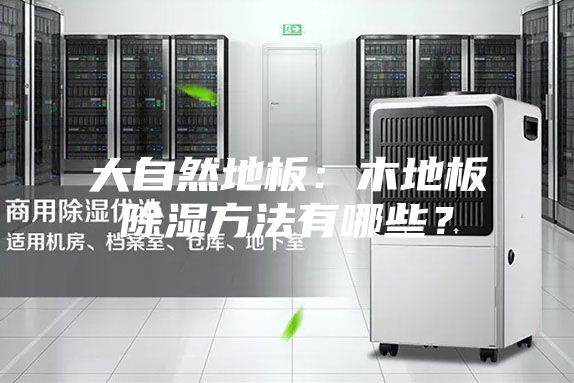 大自然地板：木地板除濕方法有哪些？