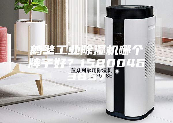 鶴壁工業(yè)除濕機哪個牌子好？15800463857