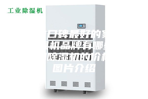 目前口碑最好的家用除濕機品牌有哪些？家用除濕機的價格和圖片介紹