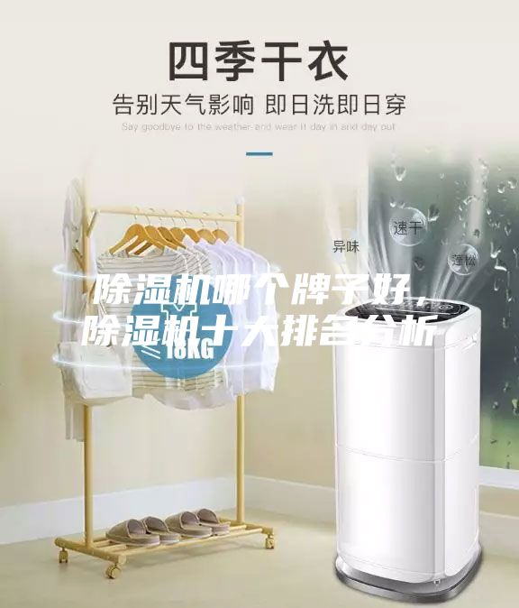 除濕機哪個牌子好，除濕機十大排名分析
