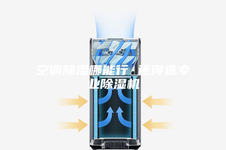 空調除濕哪能行 還得選專業(yè)除濕機