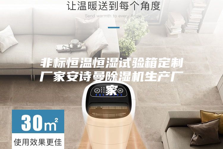 非標(biāo)恒溫恒濕試驗(yàn)箱定制廠家安詩曼除濕機(jī)生產(chǎn)廠家