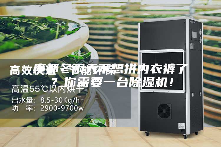 魔都冬雨天不想拼內(nèi)衣褲了？你需要一臺除濕機！