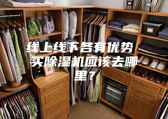 線上線下各有優(yōu)勢 買除濕機應該去哪里？