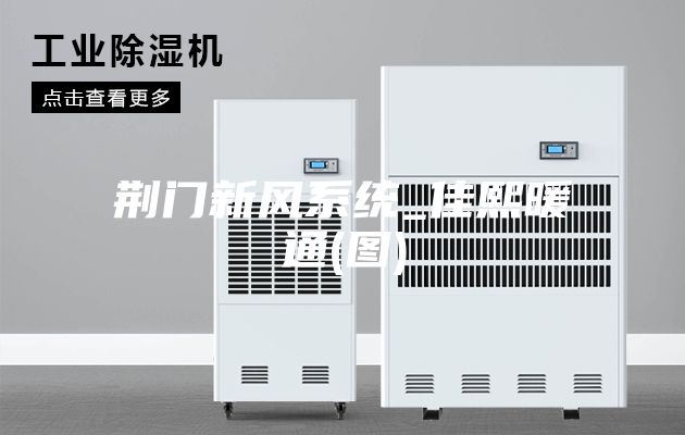 荊門(mén)新風(fēng)系統(tǒng)_佳熙暖通(圖)