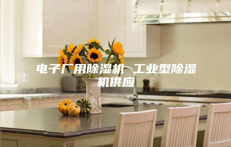 電子廠(chǎng)用除濕機(jī) 工業(yè)型除濕機(jī)供應(yīng)
