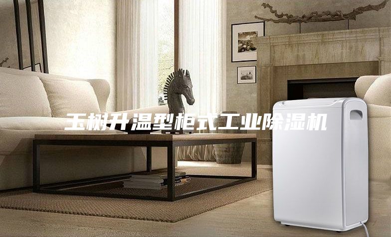 玉樹升溫型柜式工業(yè)除濕機(jī)