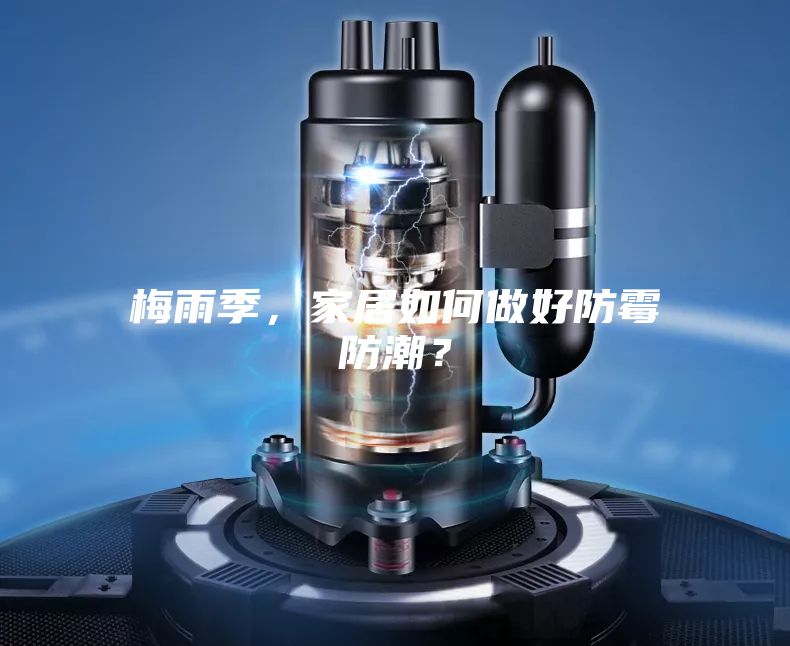 梅雨季，家居如何做好防霉防潮？