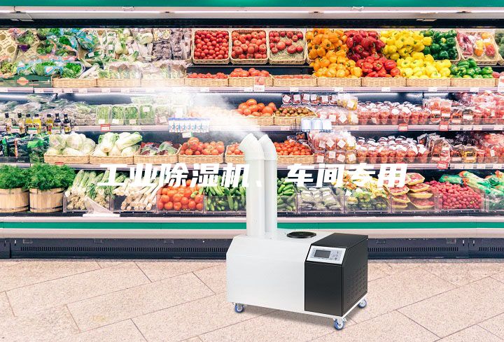 工業(yè)除濕機、車間專用