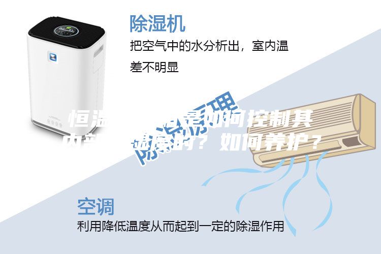 恒溫恒濕箱是如何控制其內(nèi)部溫濕度的？如何養(yǎng)護？