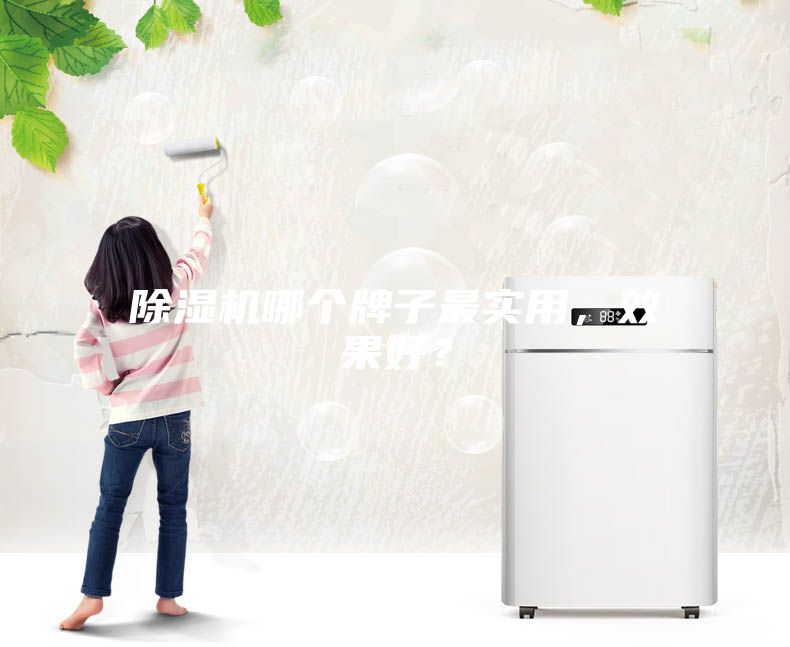 除濕機(jī)哪個牌子最實(shí)用，效果好？