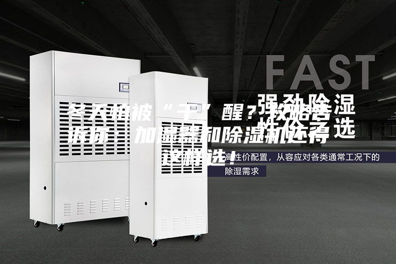 冬天怕被“干”醒？攻略告訴你：加濕器和除濕機還得這樣選！