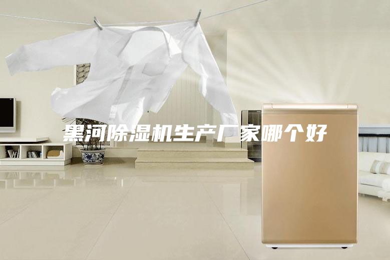 黑河除濕機(jī)生產(chǎn)廠(chǎng)家哪個(gè)好
