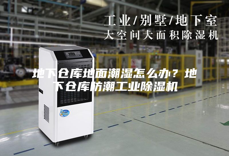 地下倉庫地面潮濕怎么辦？地下倉庫防潮工業(yè)除濕機(jī)
