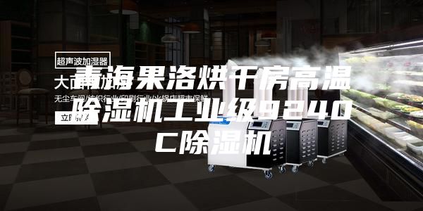青海果洛烘干房高溫除濕機(jī)工業(yè)級(jí)9240C除濕機(jī)