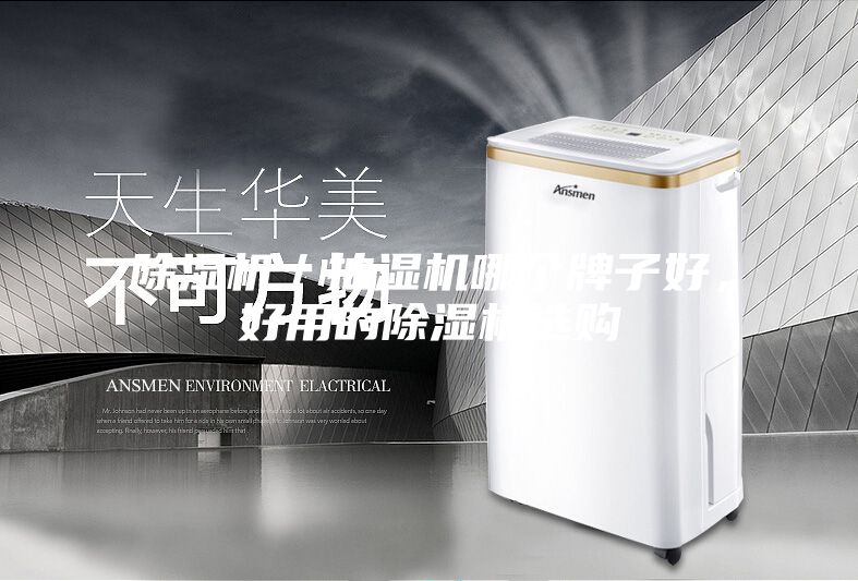 除濕機(jī)／抽濕機(jī)哪個(gè)牌子好，好用的除濕機(jī)選購