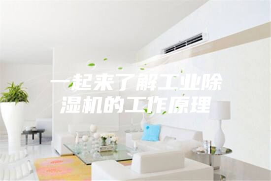 一起來(lái)了解工業(yè)除濕機(jī)的工作原理