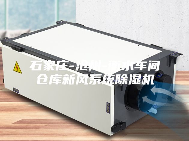 石家莊-滄州-衡水車(chē)間倉(cāng)庫(kù)新風(fēng)系統(tǒng)除濕機(jī)