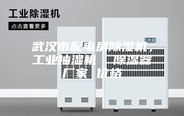 武漢市配電房除濕機(jī)，工業(yè)抽濕機(jī)  除濕器廠家 價(jià)格