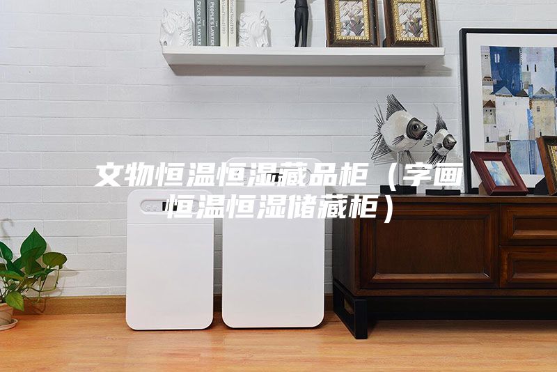 文物恒溫恒濕藏品柜（字畫(huà)恒溫恒濕儲(chǔ)藏柜）