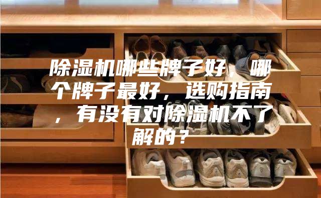 除濕機哪些牌子好，哪個牌子最好，選購指南，有沒有對除濕機不了解的？