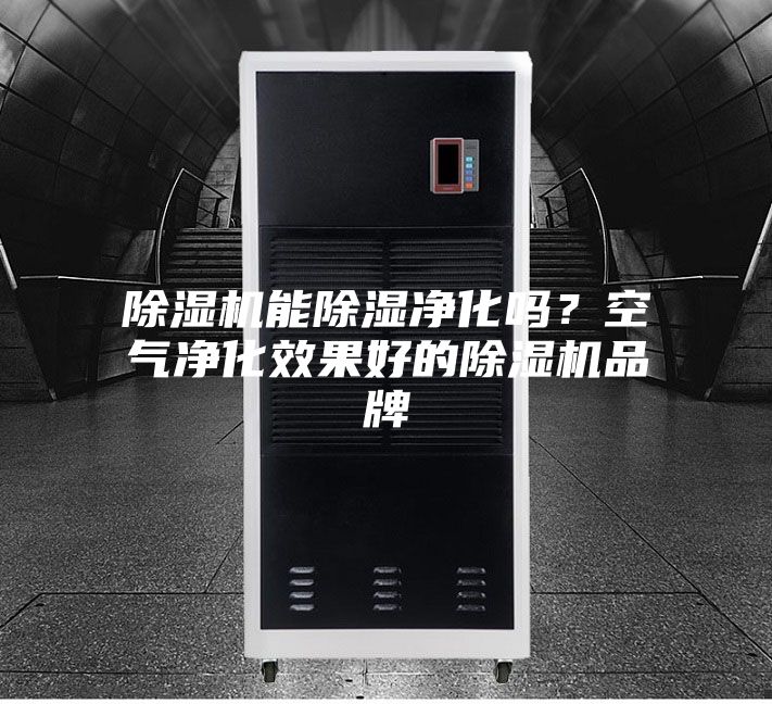 除濕機(jī)能除濕凈化嗎？空氣凈化效果好的除濕機(jī)品牌