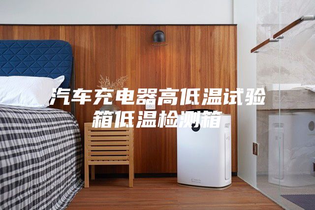 汽車充電器高低溫試驗(yàn)箱低溫檢測箱