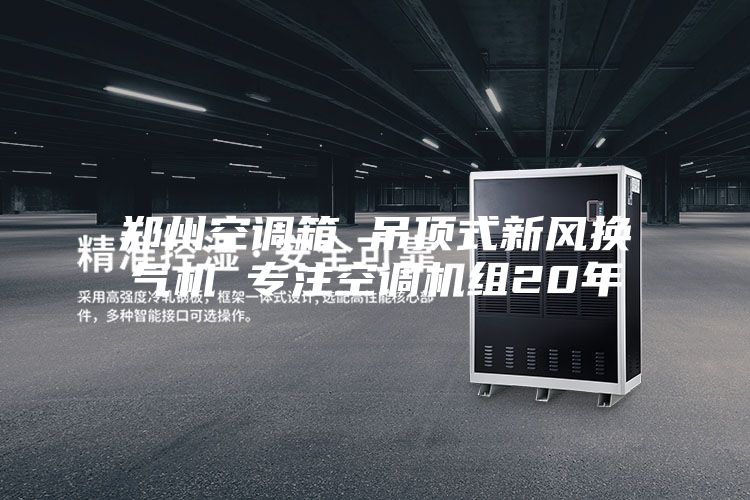 鄭州空調(diào)箱 吊頂式新風(fēng)換氣機 專注空調(diào)機組20年