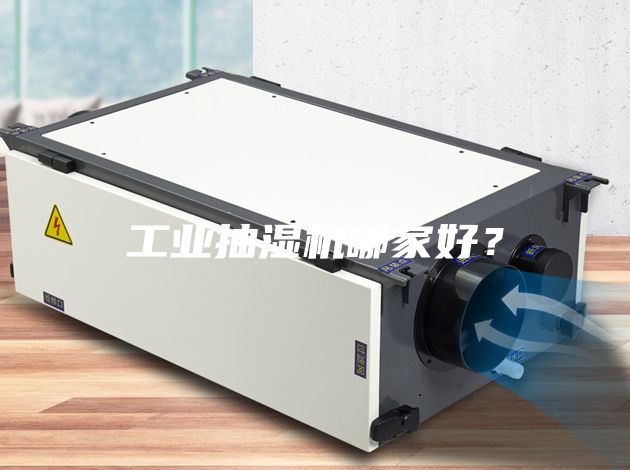 工業(yè)抽濕機哪家好？