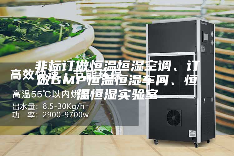 非標(biāo)訂做恒溫恒濕空調(diào)、訂做GMP恒溫恒濕車間、恒溫恒濕實驗室