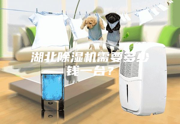 湖北除濕機(jī)需要多少錢一臺(tái)？