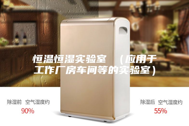 恒溫恒濕實(shí)驗(yàn)室 （應(yīng)用于工作廠(chǎng)房車(chē)間等的實(shí)驗(yàn)室）