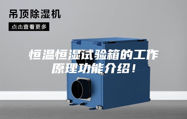 恒溫恒濕試驗(yàn)箱的工作原理功能介紹！