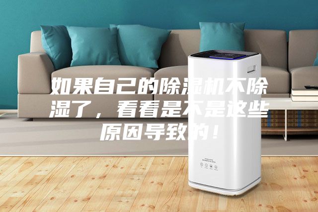 如果自己的除濕機(jī)不除濕了，看看是不是這些原因?qū)е碌模?></div>
								<div   id=