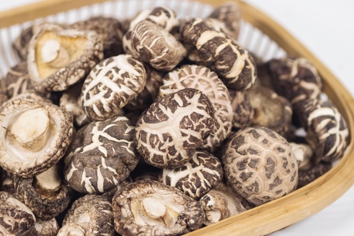 干貨倉庫怎么利用除濕機(jī)保持干爽？