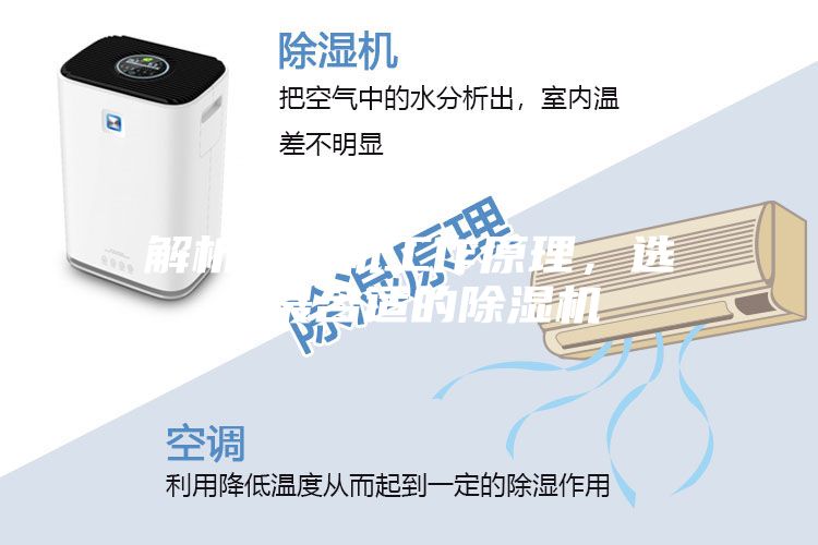 解析壓縮機(jī)工作原理，選購最合適的除濕機(jī)