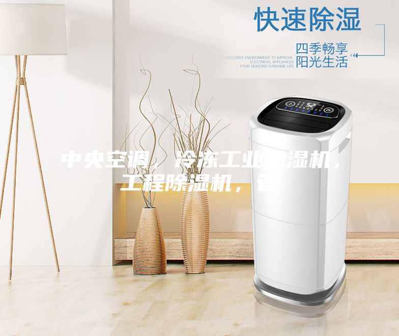 中央空調(diào)，冷凍工業(yè)除濕機(jī)，工程除濕機(jī)，管