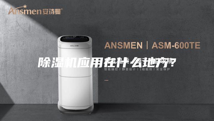 除濕機應(yīng)用在什么地方？