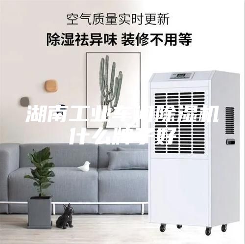湖南工業車間除濕機什么牌子好
