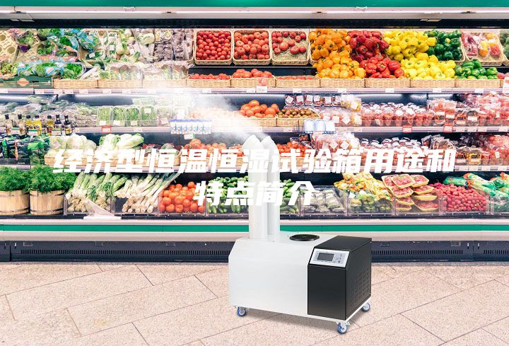 經濟型恒溫恒濕試驗箱用途和特點簡介