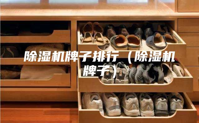除濕機牌子排行（除濕機牌子）