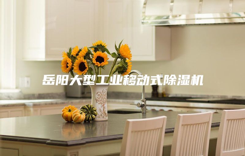 岳陽(yáng)大型工業(yè)移動(dòng)式除濕機(jī)