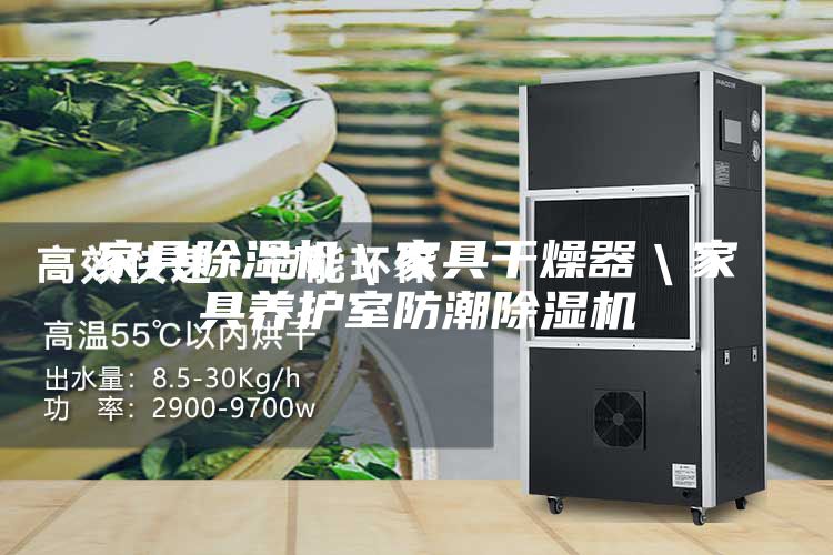 家具除濕機＼家具干燥器＼家具養(yǎng)護室防潮除濕機