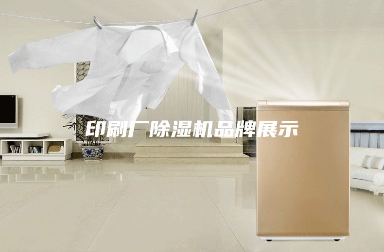 印刷廠除濕機(jī)品牌展示