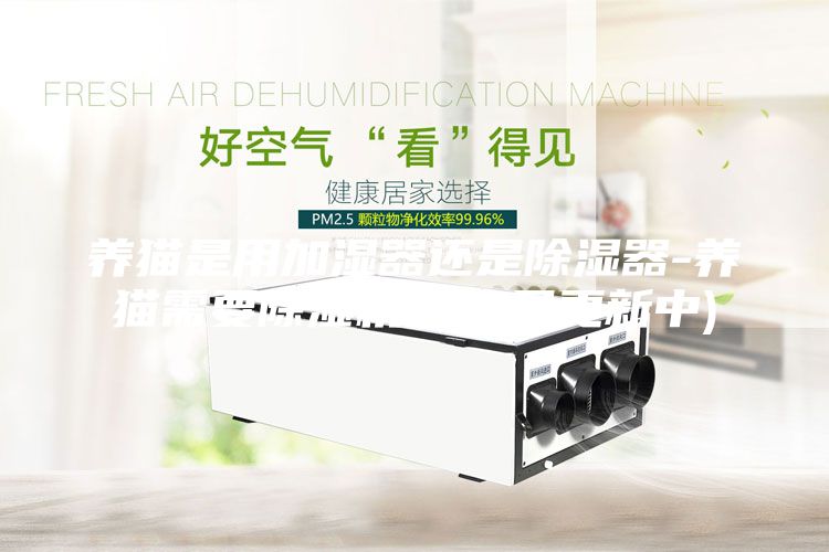 養(yǎng)貓是用加濕器還是除濕器-養(yǎng)貓需要除濕機(jī)嗎(6月更新中)