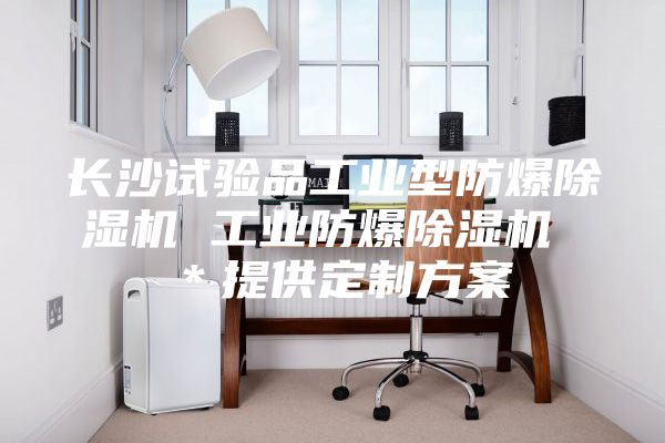 長沙試驗品工業(yè)型防爆除濕機 工業(yè)防爆除濕機 ＊提供定制方案
