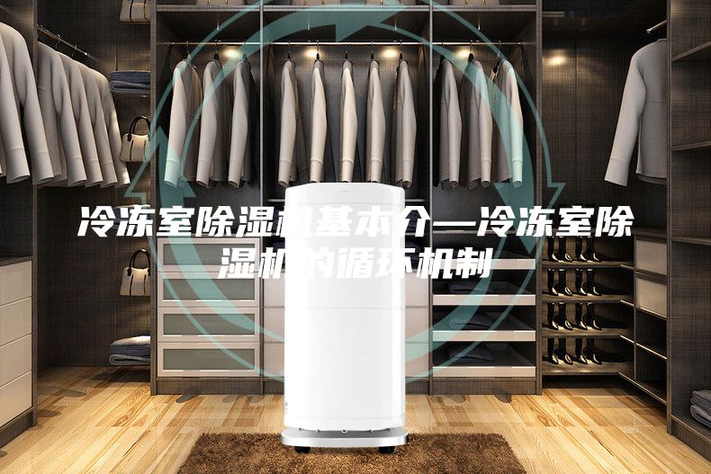 冷凍室除濕機(jī)基本介—冷凍室除濕機(jī)的循環(huán)機(jī)制